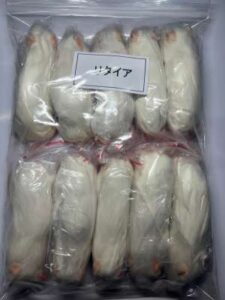 冷凍リタイアマウス（約10cm～40g）/10匹