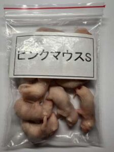 冷凍ピンクマウスS（約2.5cm）/10匹