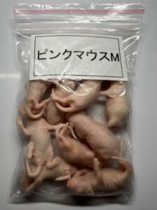 冷凍ピンクマウスM（約3cm）/10匹