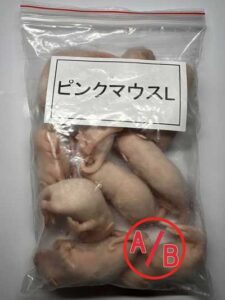 冷凍ピンクマウスL（約4cm）Ａ/Ｂ級品/10匹