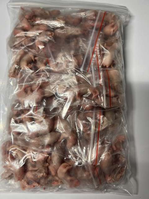 冷凍ピンクマウスS（約2.5cm）「ドリップ」Ｂ級品/100匹