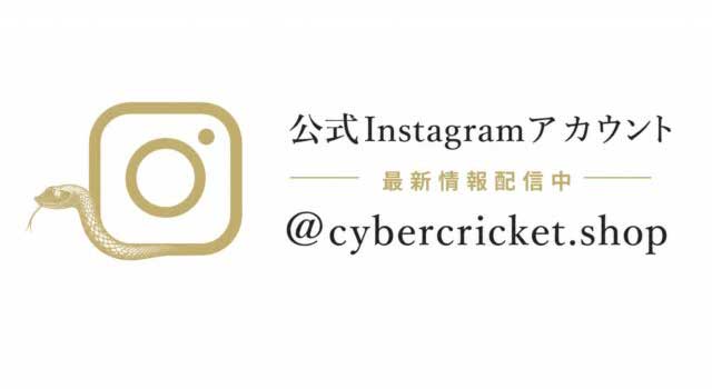 サイバークリケット更新Instagram