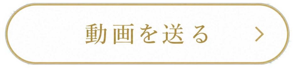 動画を送る