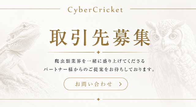 取引先募集